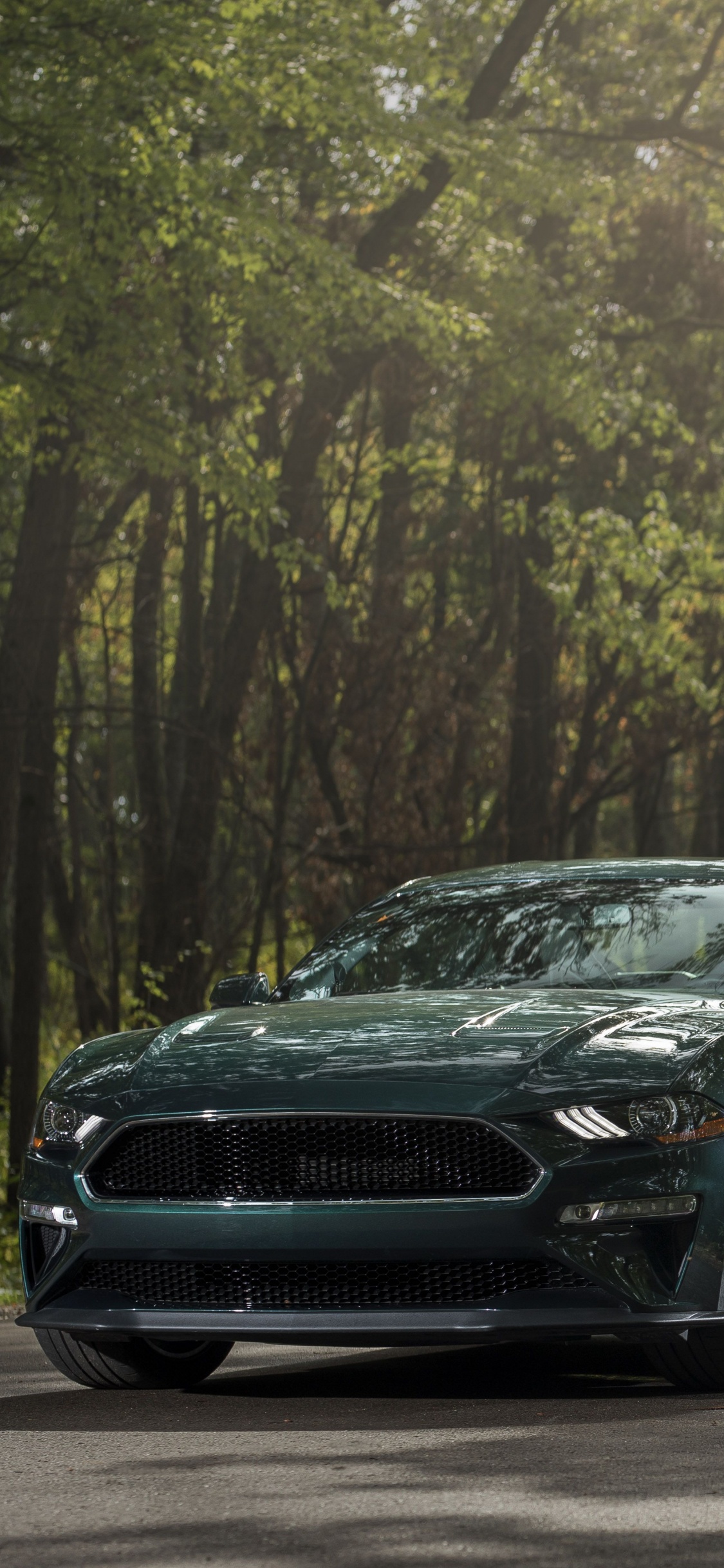 Обои Шелби Мустанг, 2019 Форд Мустанг буллит, авто, ford, мускул кар в разрешении 1125x2436