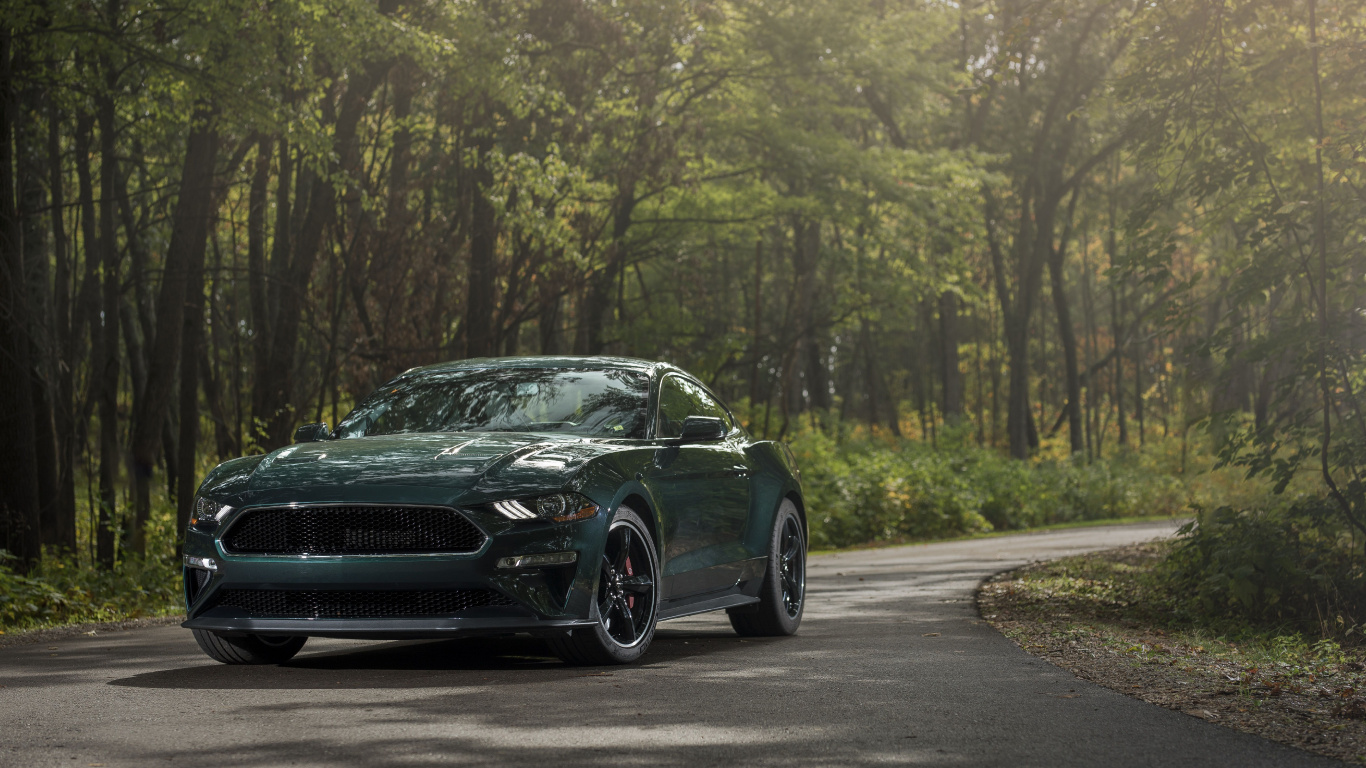 Обои Шелби Мустанг, 2019 Форд Мустанг буллит, авто, ford, мускул кар в разрешении 1366x768