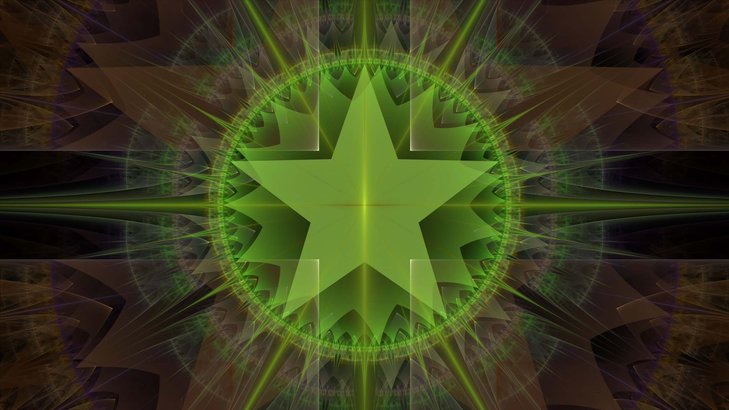 Обои фрактальное искусство, фрактал, узор, фигура, наземное растение в разрешении 2560x1440