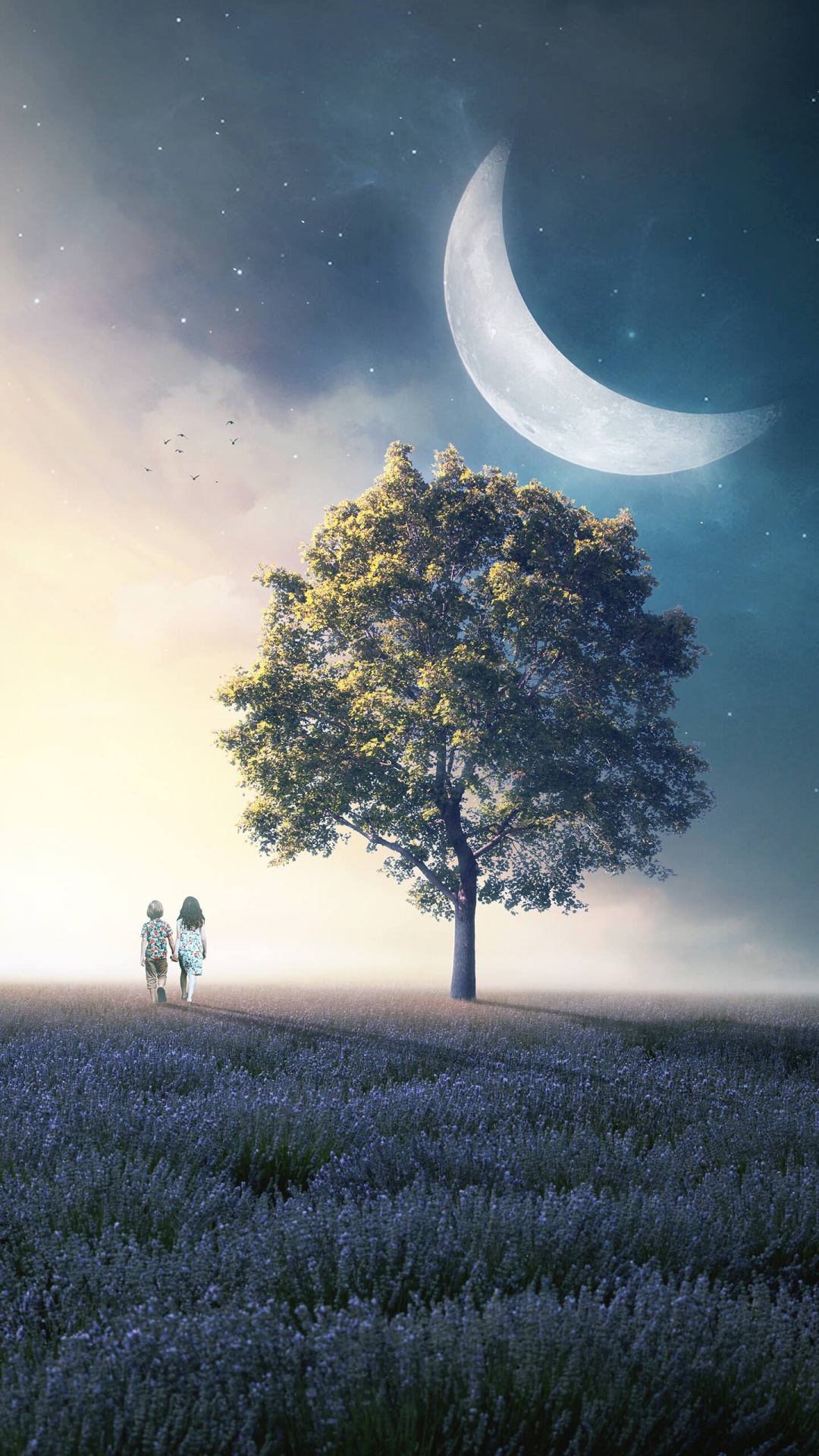 Обои смартфон, постер, растение, атмосфера, экорегион в разрешении 1080x1920