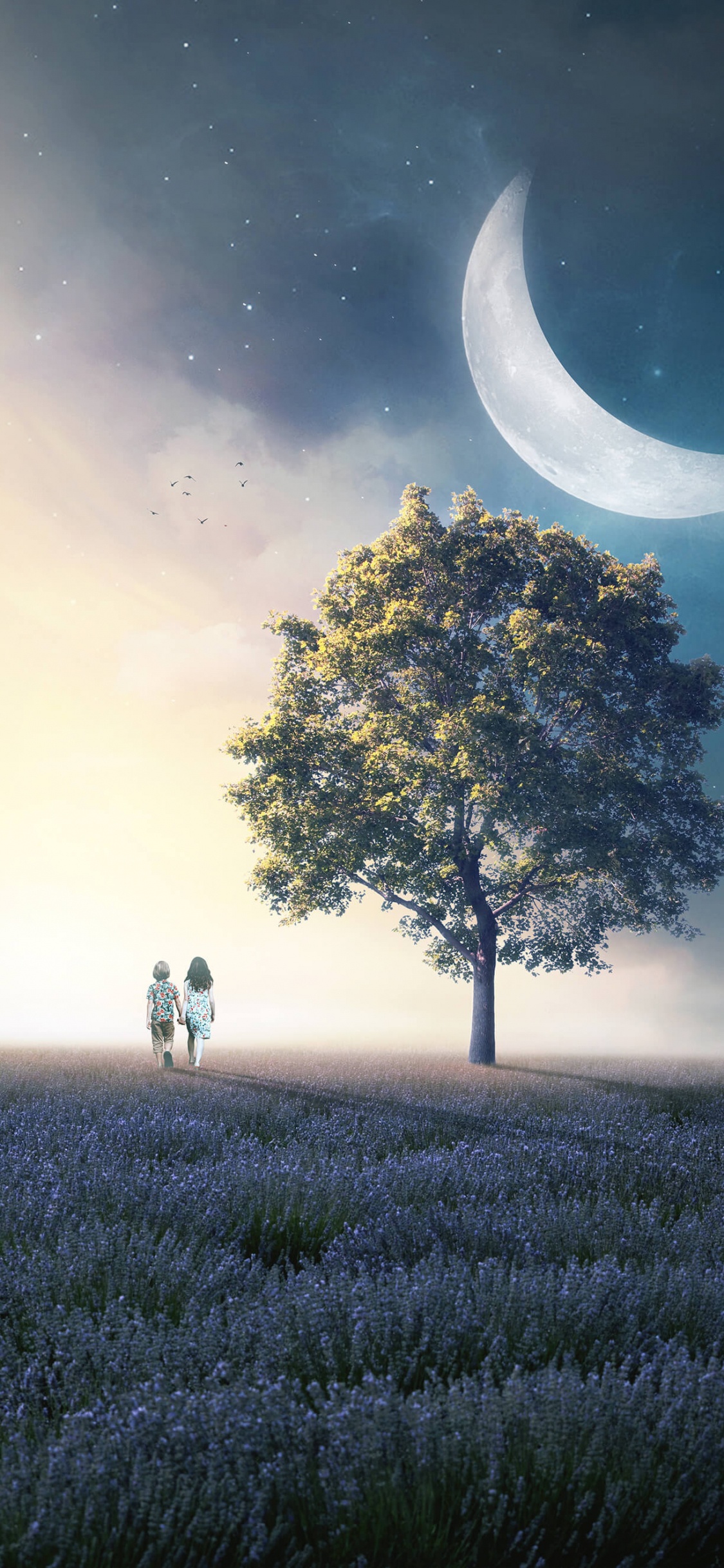 Обои смартфон, постер, растение, атмосфера, экорегион в разрешении 1125x2436