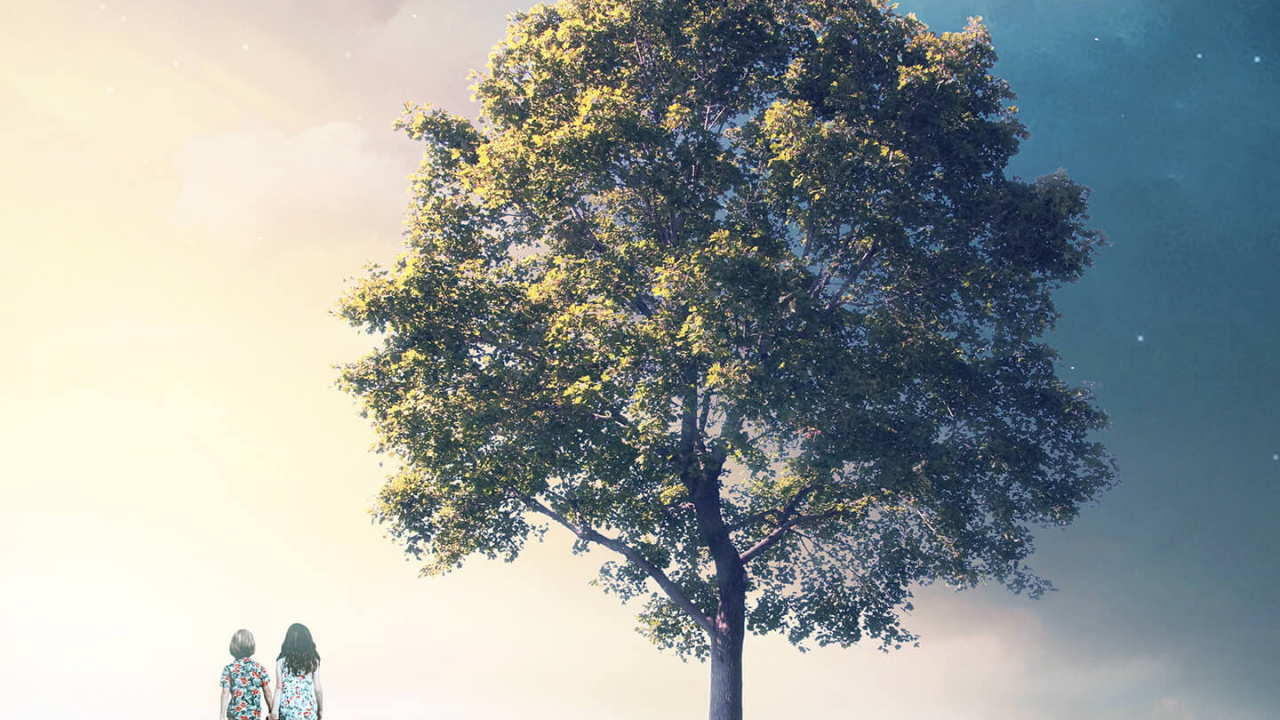 Обои смартфон, постер, растение, атмосфера, экорегион в разрешении 1280x720