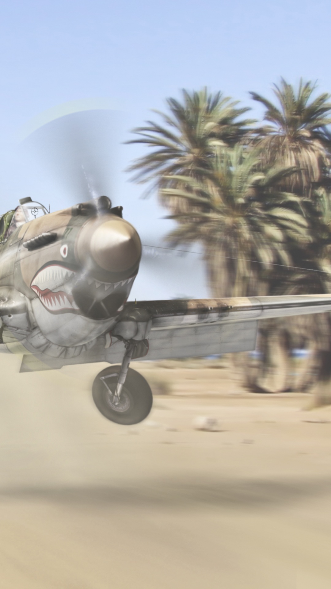 Обои самолет, самолеты, пропеллер, полет, военный самолет в разрешении 1080x1920