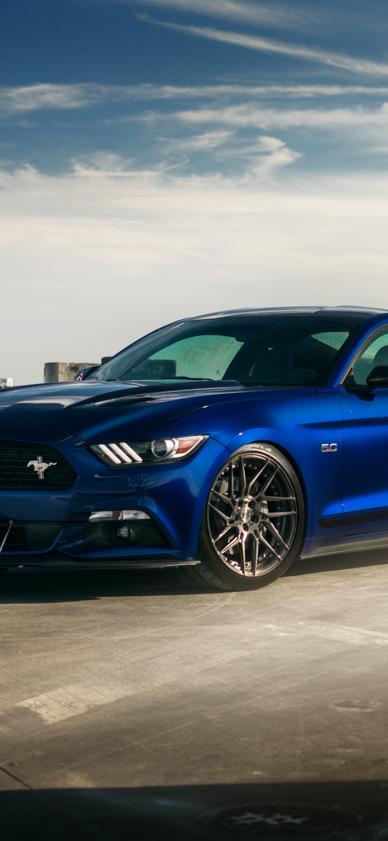 Обои Форд Мустанг, Шелби Мустанг, ford gt, авто, ford в разрешении 1242x2688