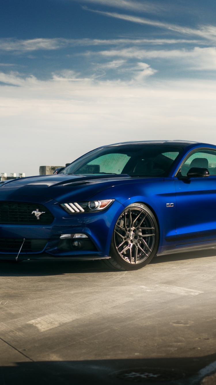 Обои Форд Мустанг, Шелби Мустанг, ford gt, авто, ford в разрешении 750x1334