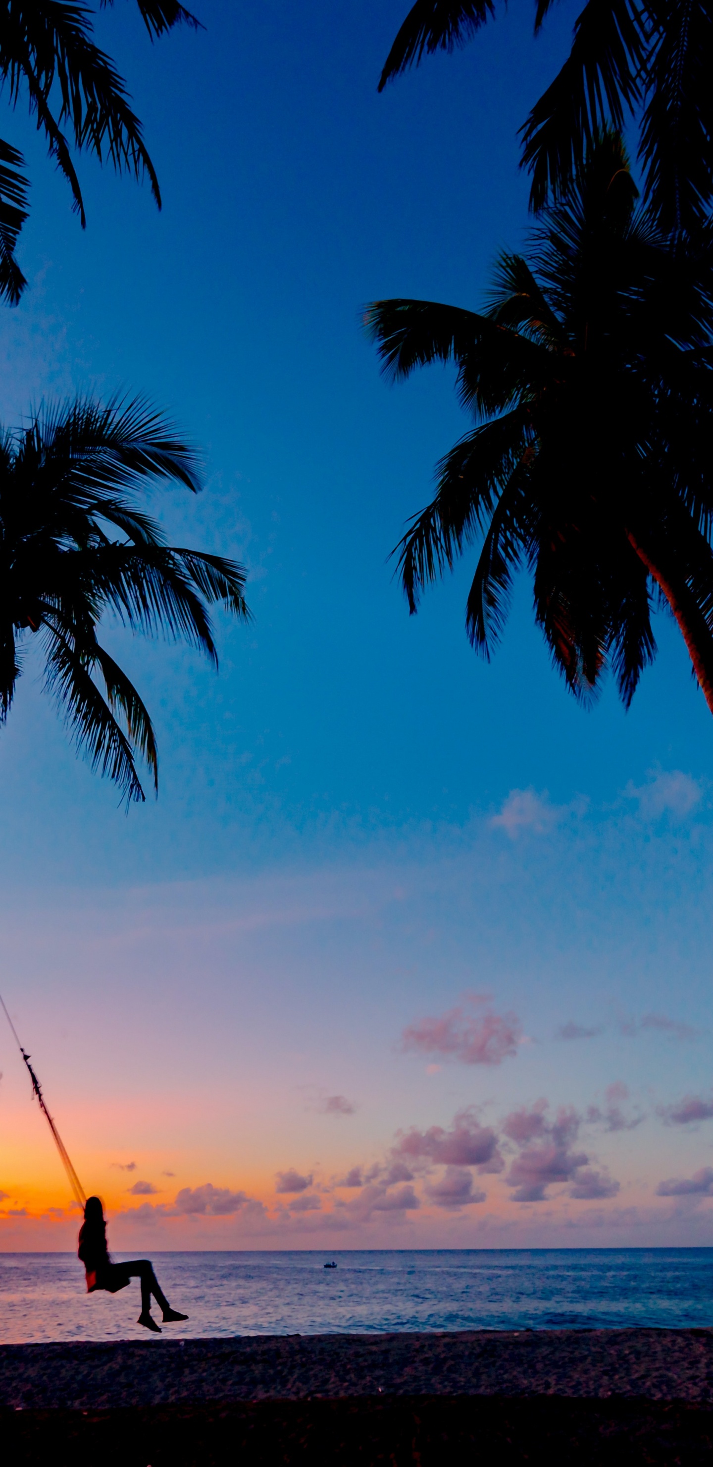 Обои облако, вода, растение, свет, природа в разрешении 1440x2960