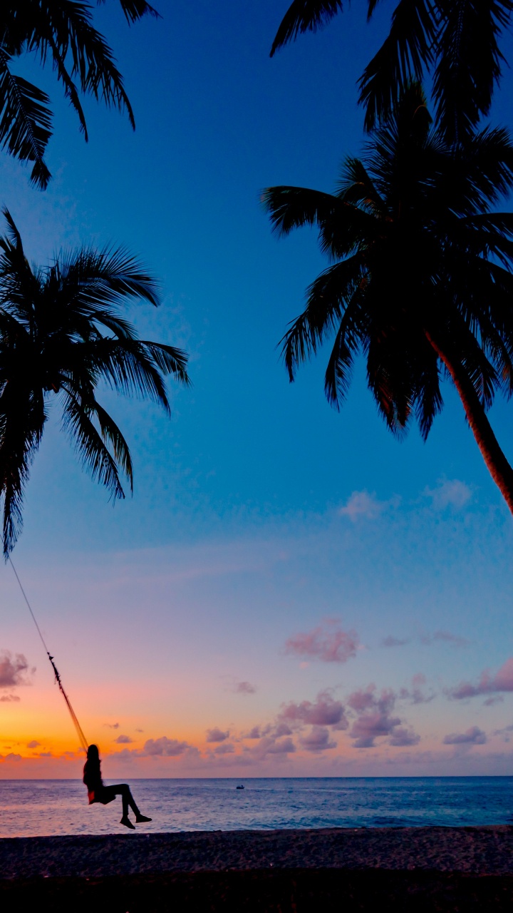 Обои облако, вода, растение, свет, природа в разрешении 720x1280