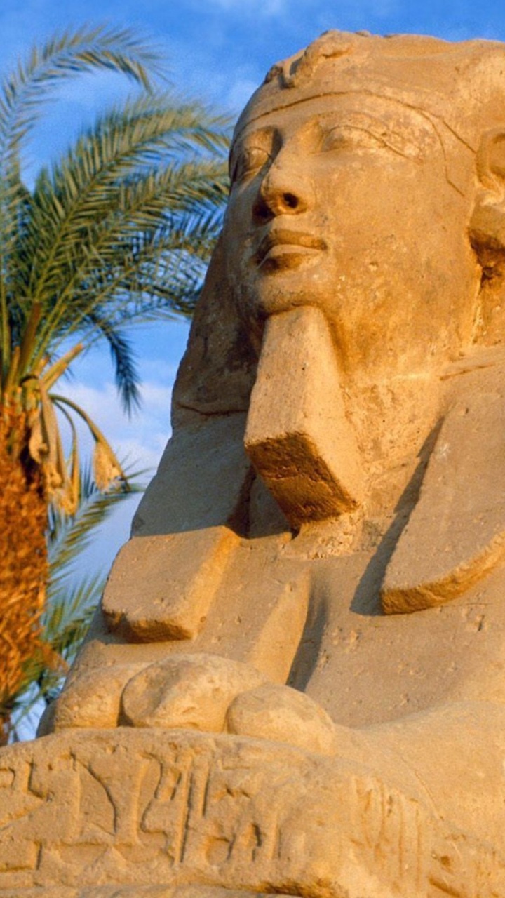 Обои Нил, скульптура, статуя, песок, дерево в разрешении 720x1280