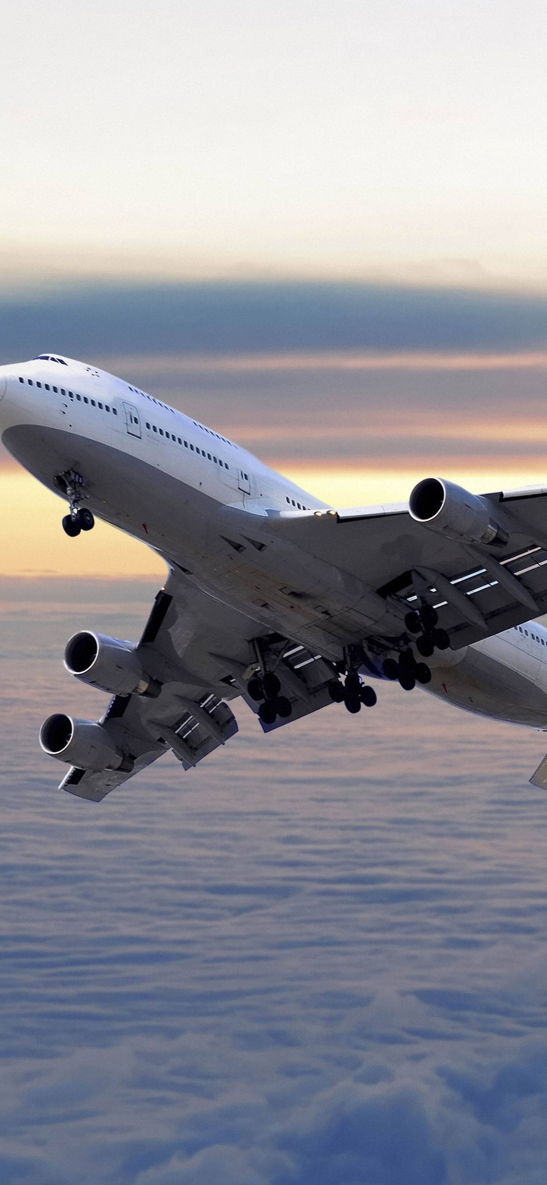 Обои самолет летевший, самолет, полет, самолеты, авиация в разрешении 1125x2436