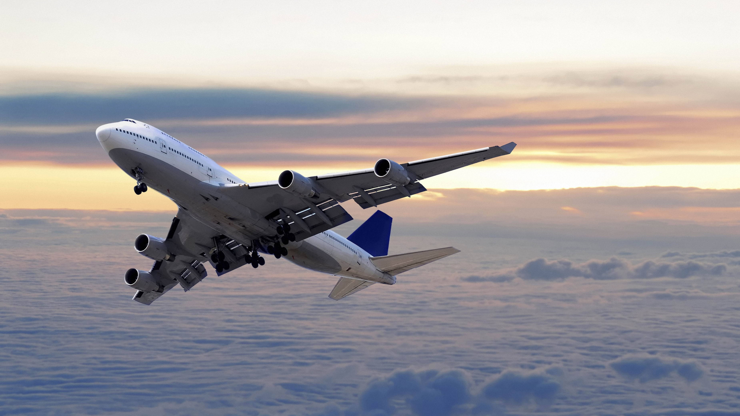 Обои самолет летевший, самолет, полет, самолеты, авиация в разрешении 2560x1440