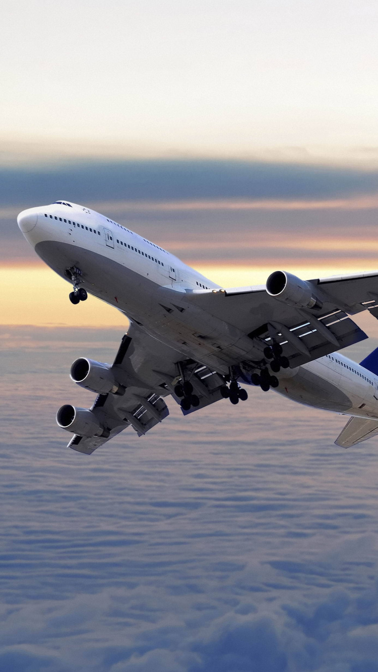 Обои самолет летевший, самолет, полет, самолеты, авиация в разрешении 750x1334