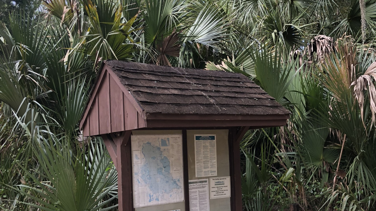 Обои пальмовые рощи, недвижимость, биология, наука, древесные растения в разрешении 1280x720