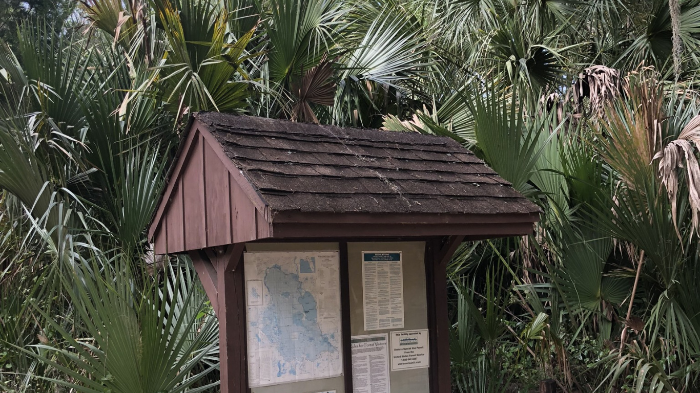 Обои пальмовые рощи, недвижимость, биология, наука, древесные растения в разрешении 1366x768