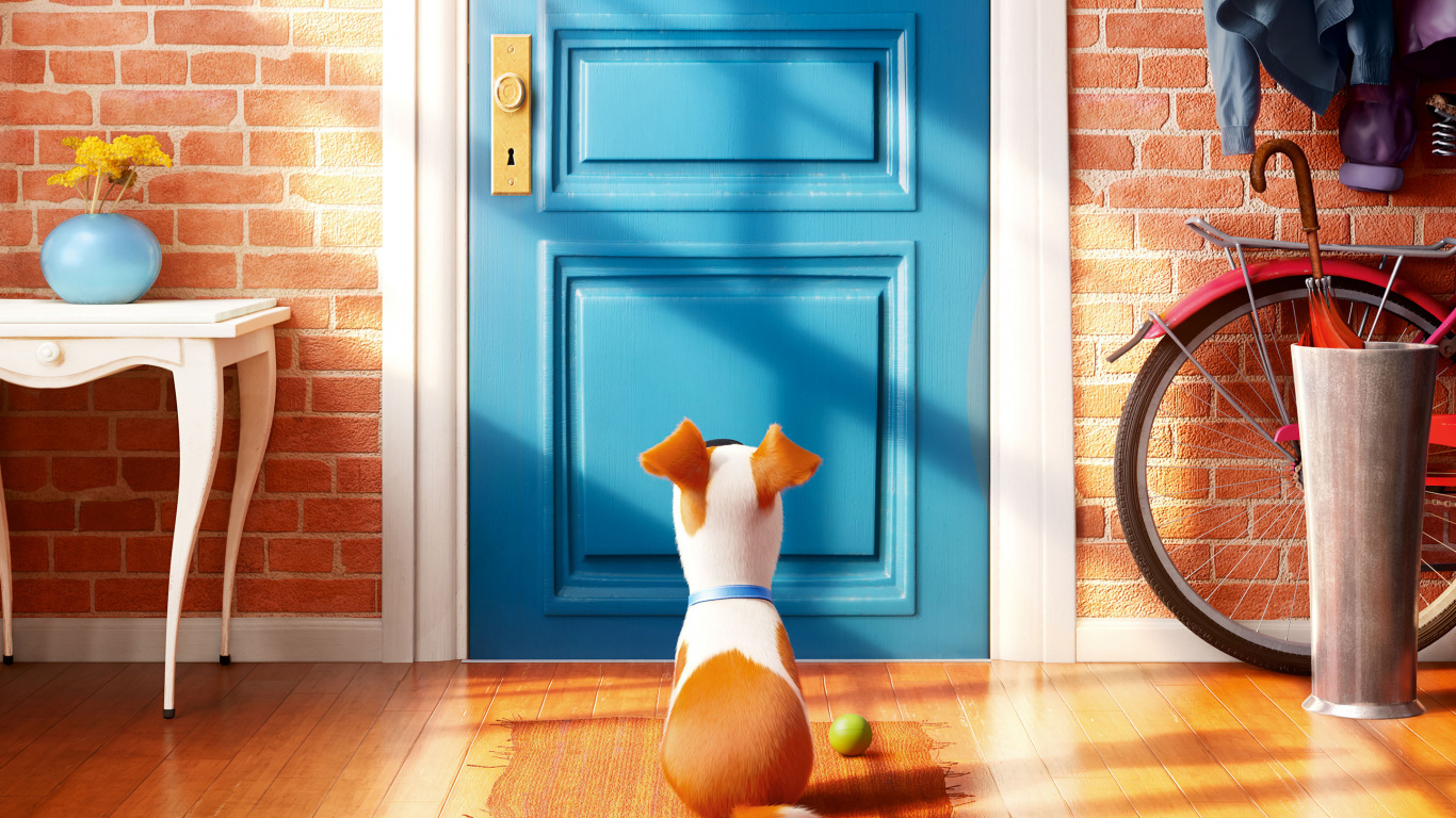 Обои Тайная жизнь домашних животных, снежок, пес, этаж, плитка в разрешении 1366x768