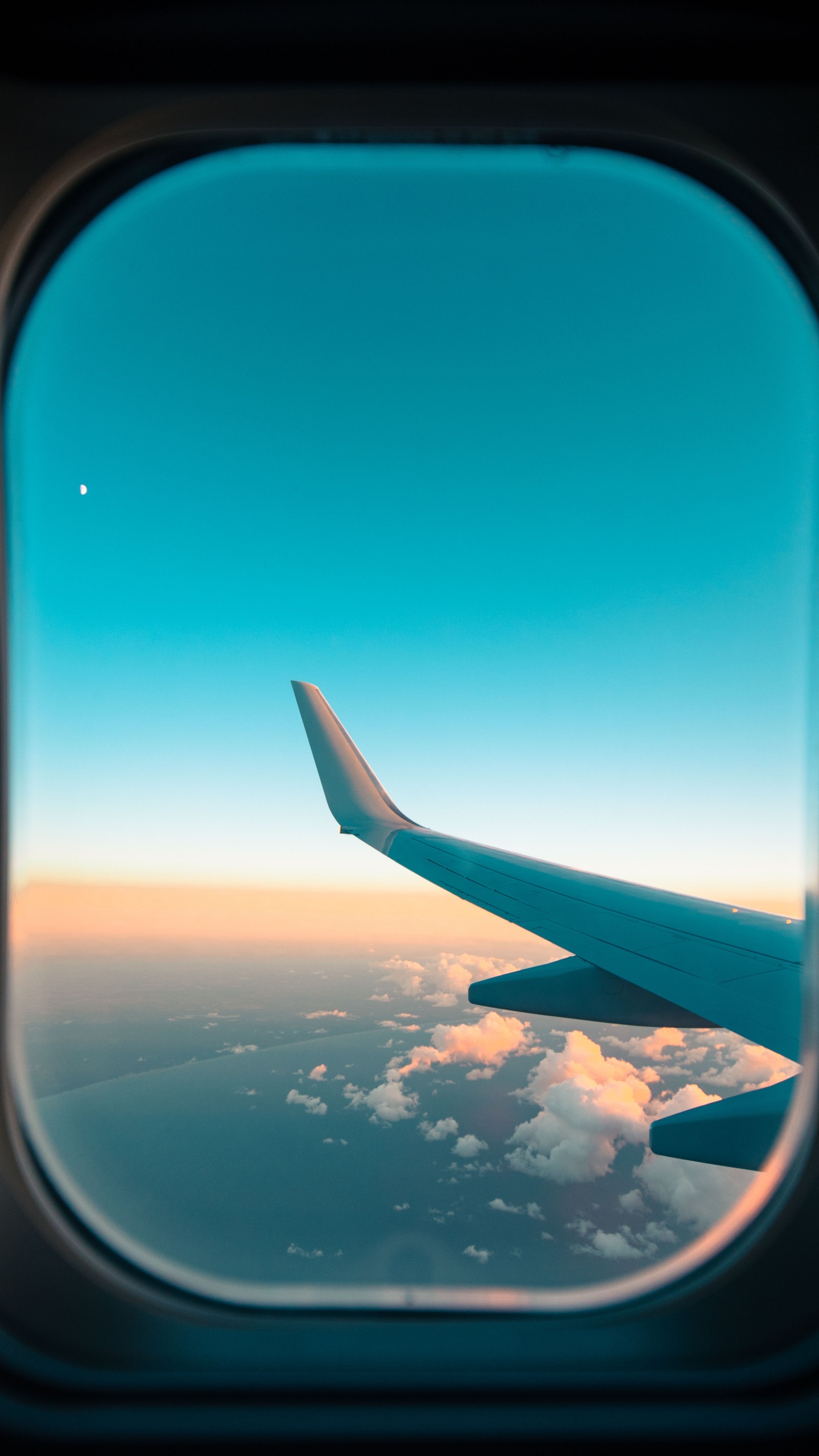 Обои воздушное путешествие, крыло, горизонт, авиалайнер, окно в разрешении 1440x2560