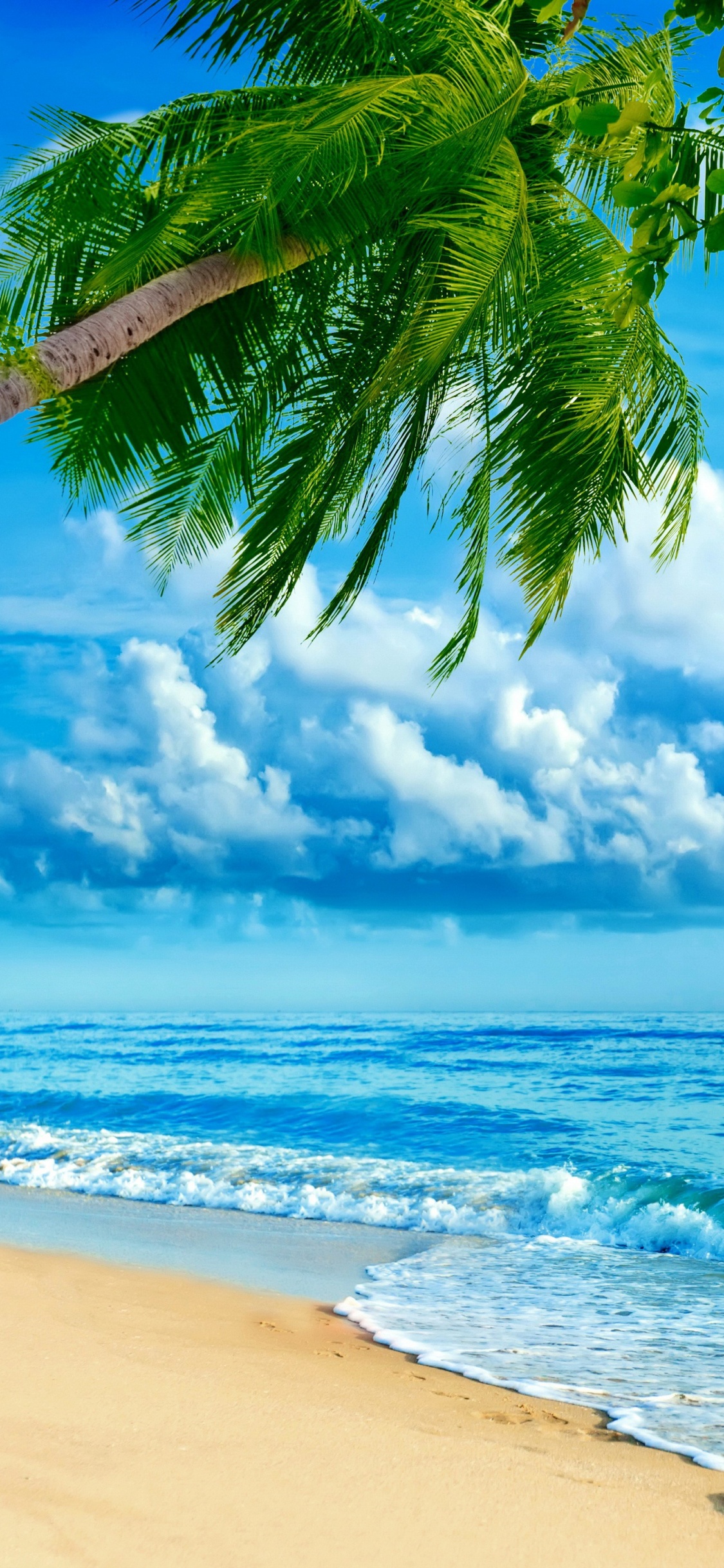 Обои пляж, природа, тропическая зона, дневное время, океан в разрешении 1125x2436