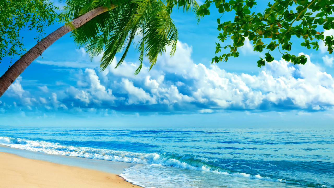 Обои пляж, природа, тропическая зона, дневное время, океан в разрешении 1280x720