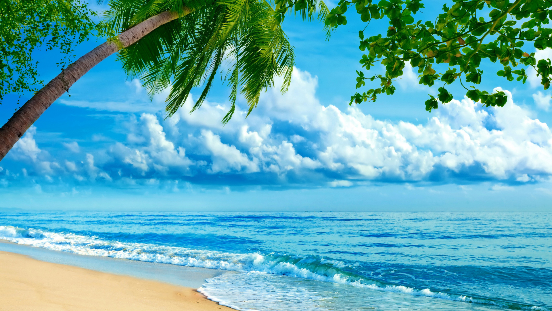 Обои пляж, природа, тропическая зона, дневное время, океан в разрешении 1920x1080