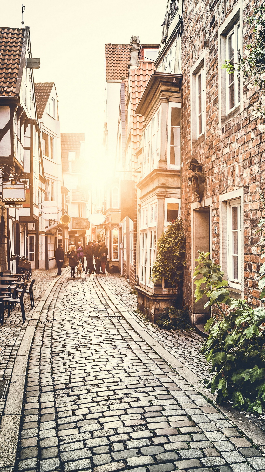 Обои улица, городок, соседство, аллея, дорога в разрешении 1080x1920