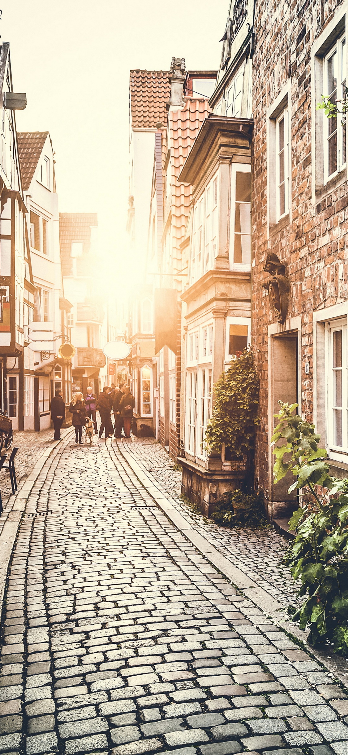 Обои улица, городок, соседство, аллея, дорога в разрешении 1125x2436