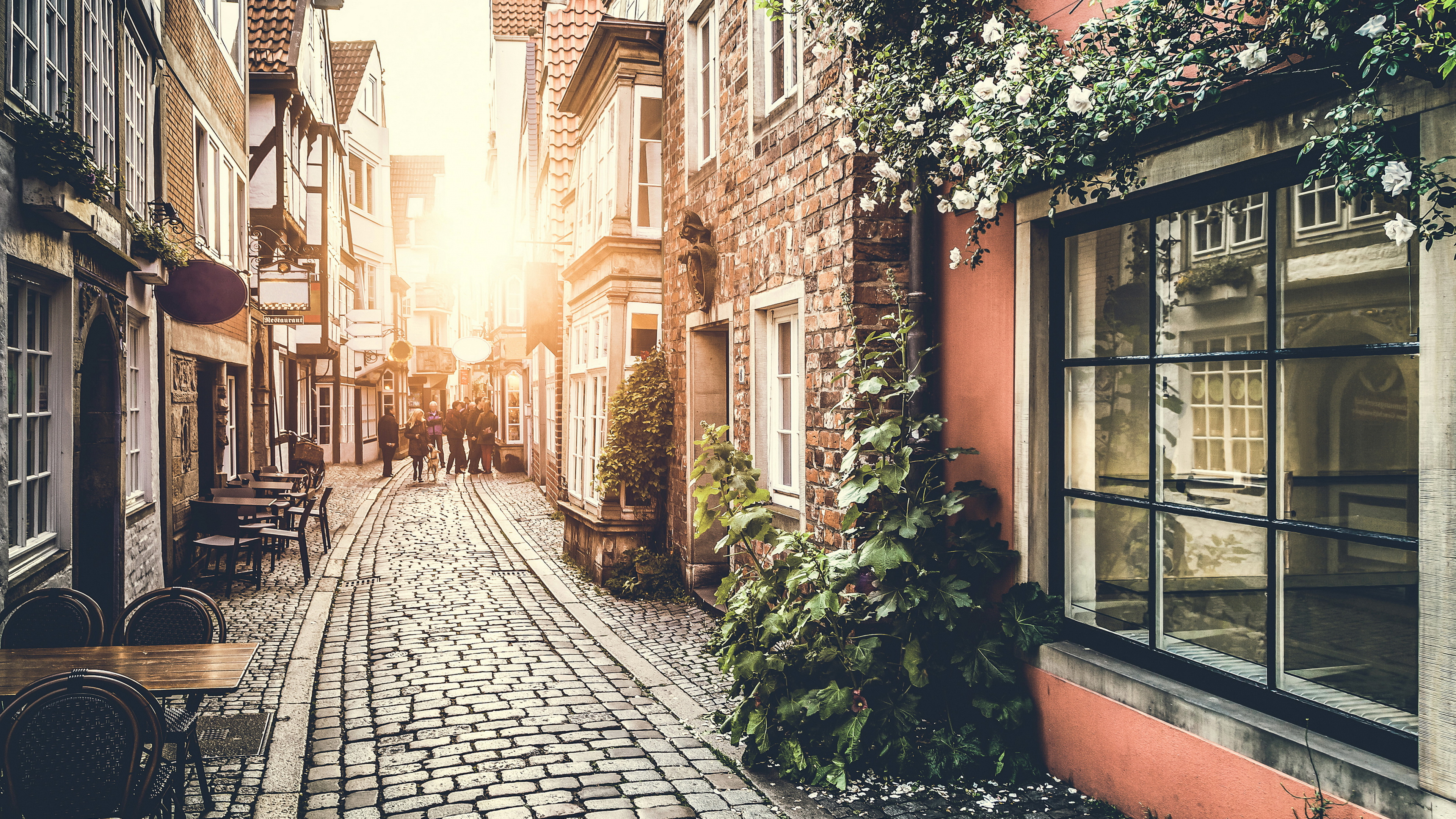 Обои улица, городок, соседство, аллея, дорога в разрешении 3840x2160