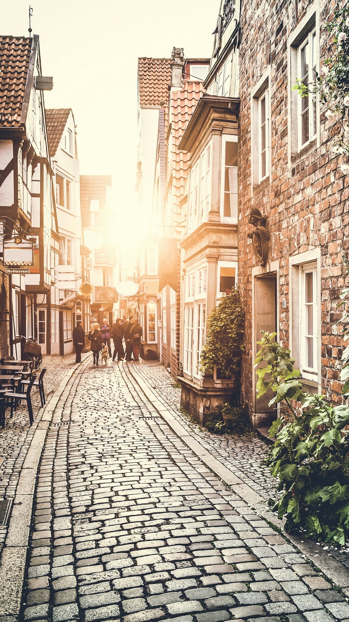 Обои улица, городок, соседство, аллея, дорога в разрешении 720x1280