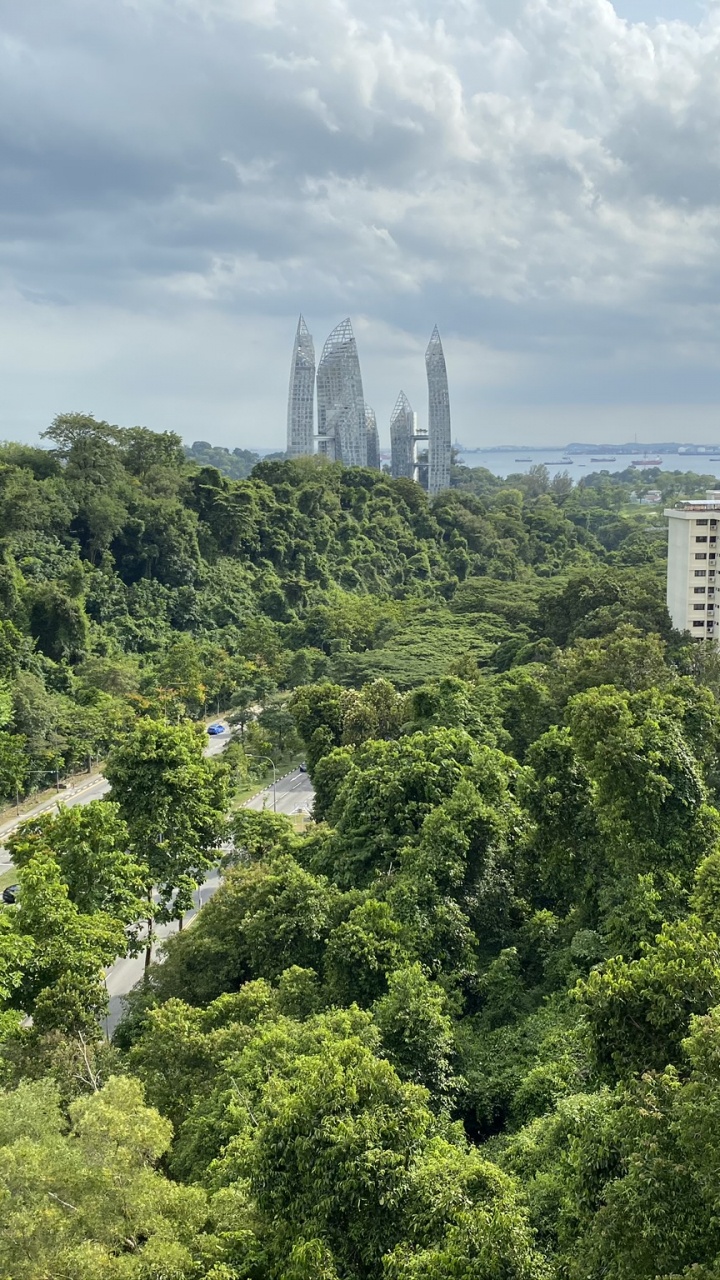 Обои растительность, природа, облако, башня, биом в разрешении 720x1280