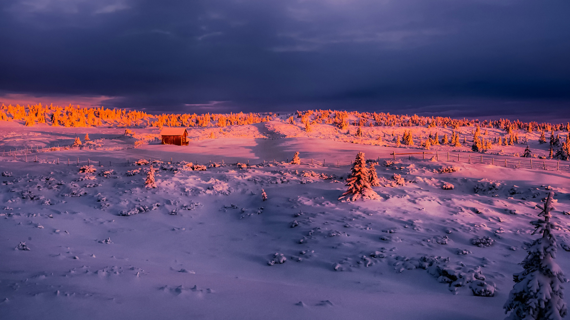 Обои замораживание, горизонт, снег, утро, небо в разрешении 1920x1080