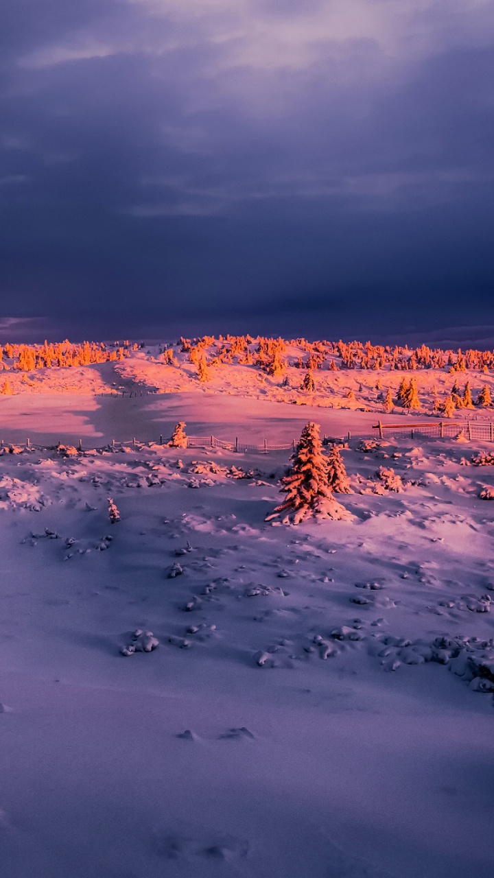 Обои замораживание, горизонт, снег, утро, небо в разрешении 720x1280
