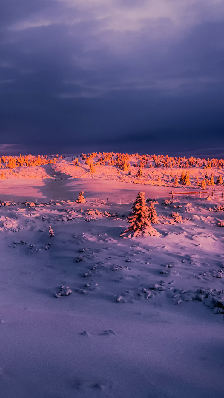 Обои замораживание, горизонт, снег, утро, небо в разрешении 750x1334