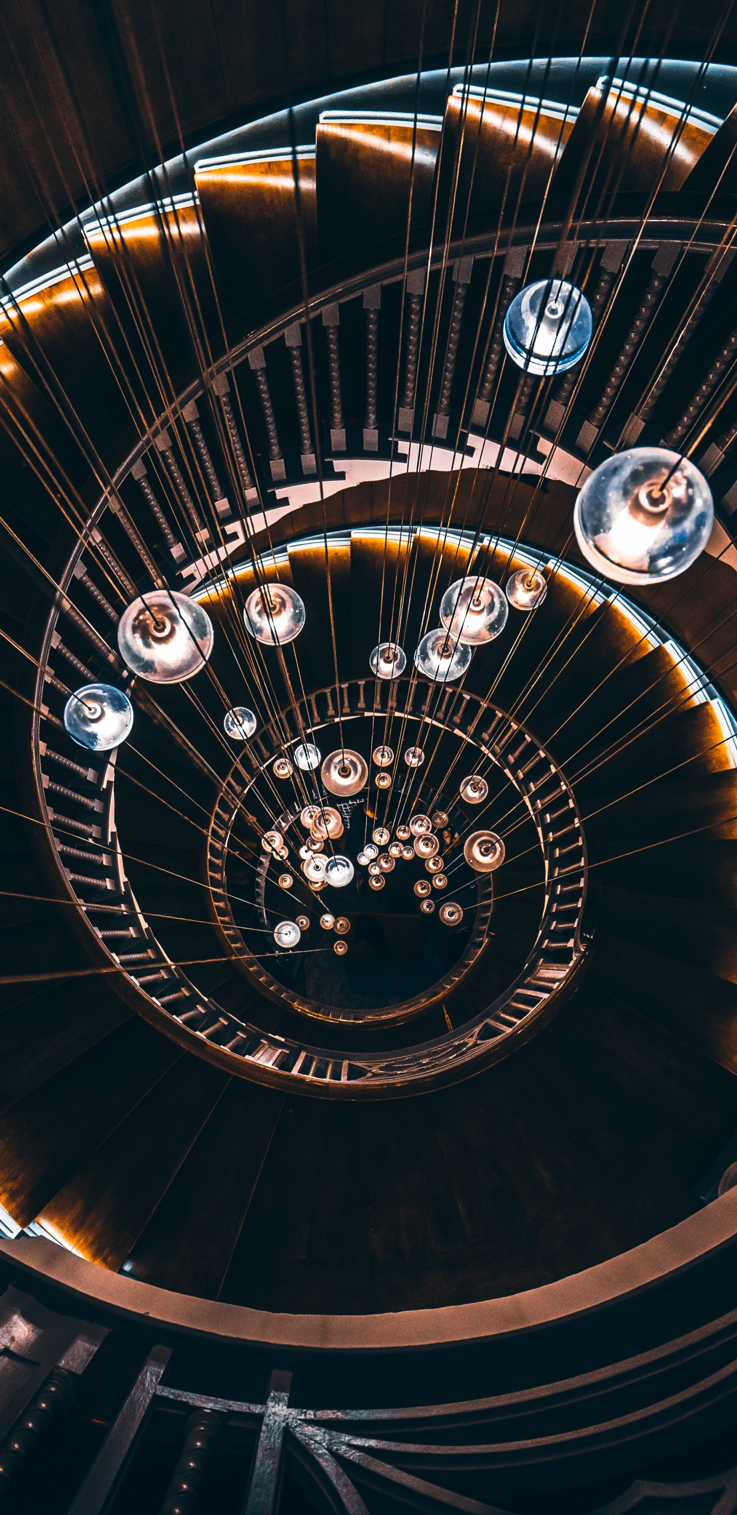 Обои спираль, круг, архитектура, лестница в разрешении 1440x2960