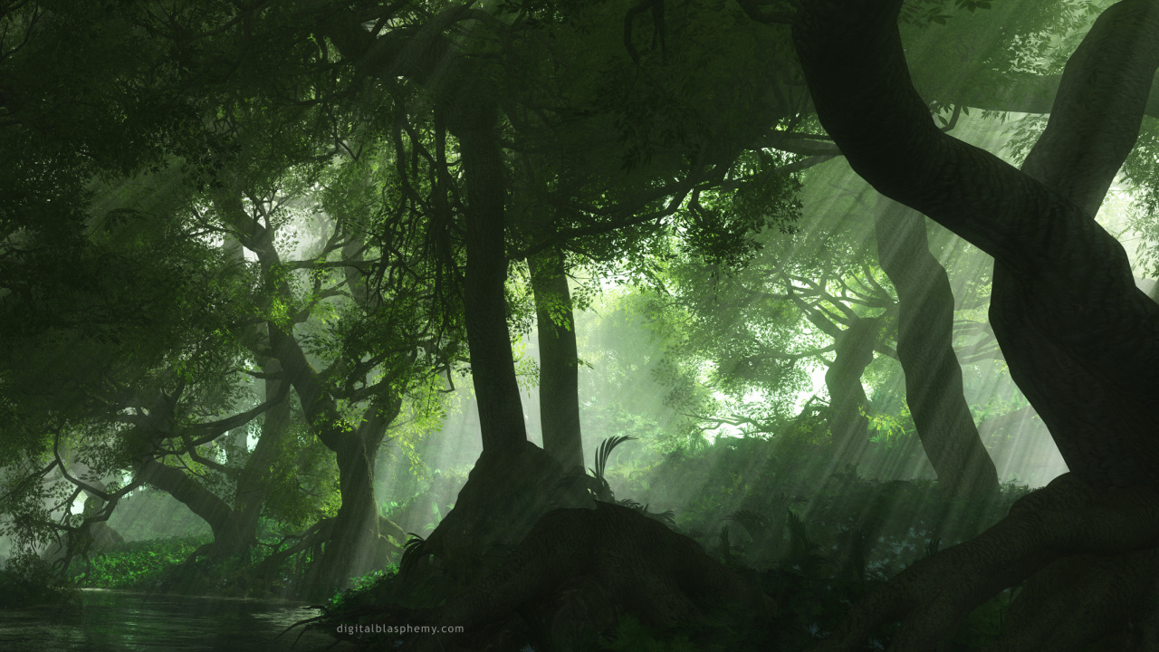 Обои природа, дерево, зеленый, растительность, лес в разрешении 1280x720