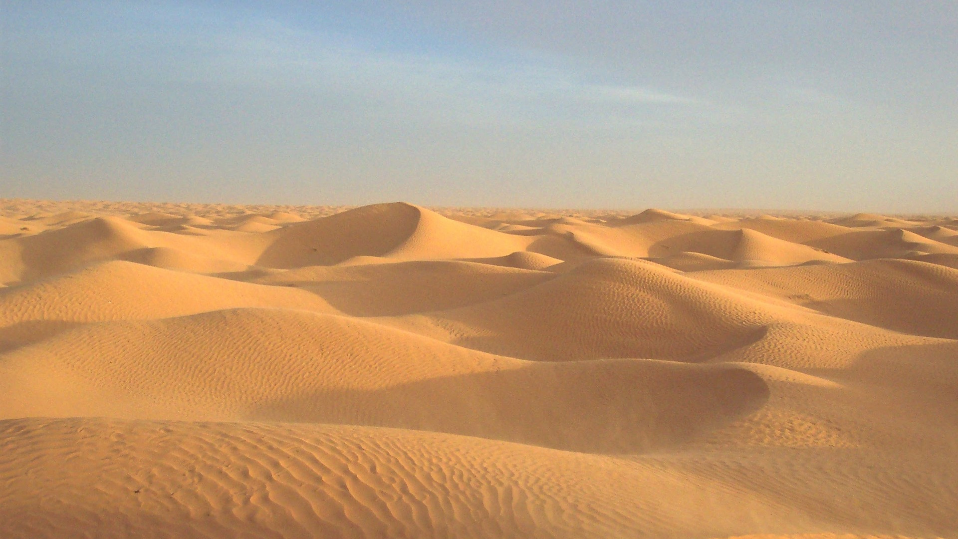 Обои эрг, Дюна, пустыня, песок, эолийские рельефы в разрешении 1920x1080