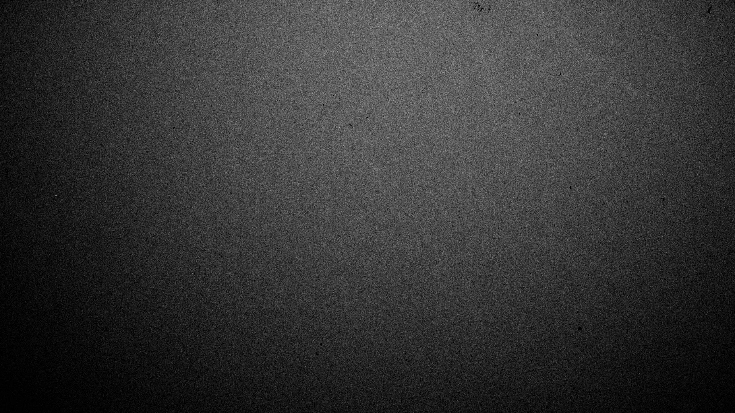 Обои черный, черный и белый, темнота, атмосфера, Информация в разрешении 2560x1440