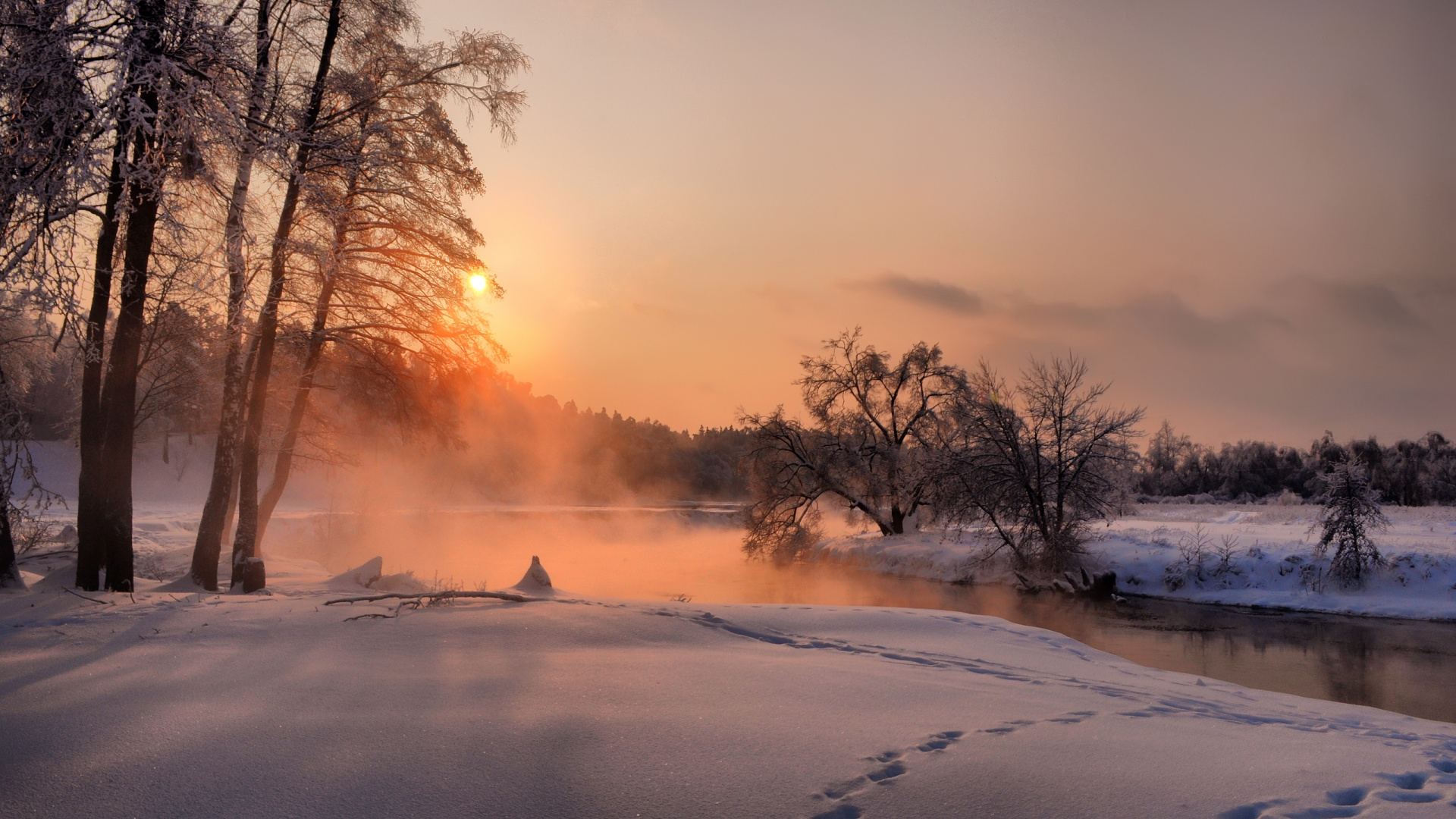 Обои снег, зима, замораживание, утро, дерево в разрешении 1920x1080