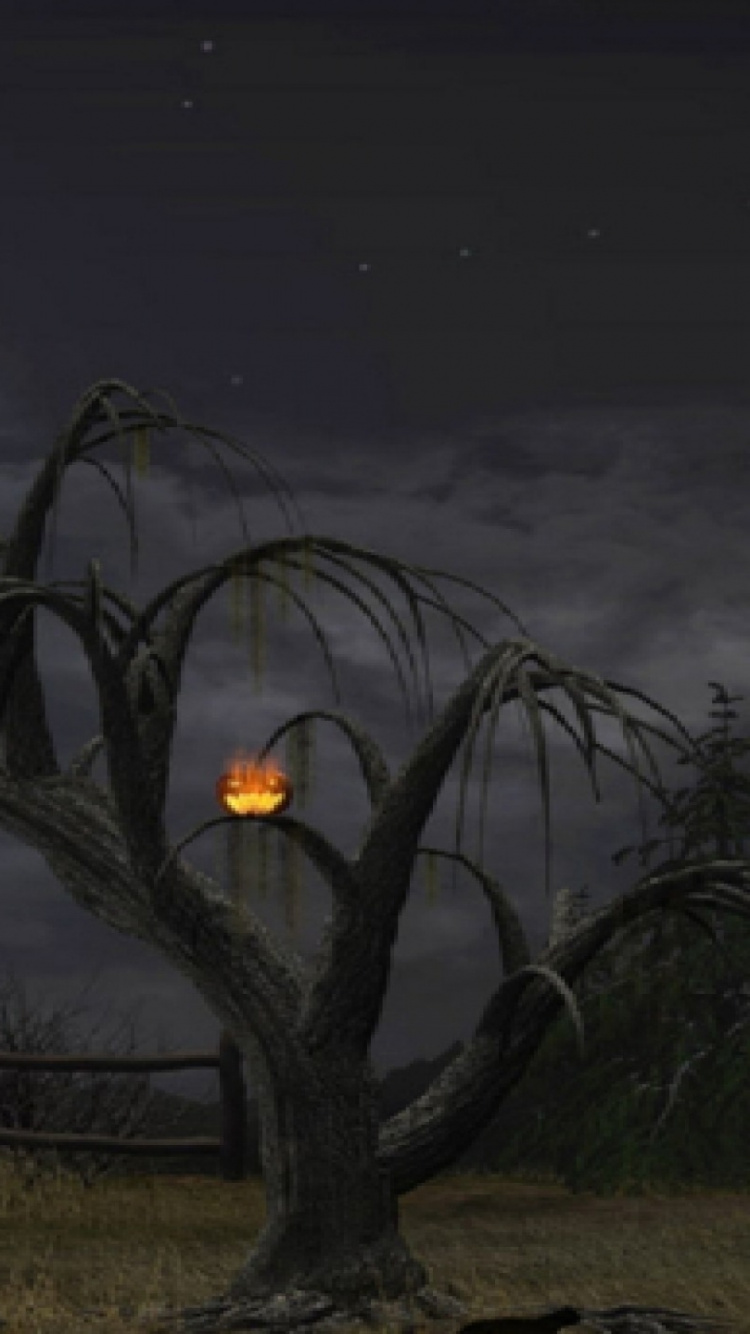 Обои ночь, атмосфера, дерево, луна, полночь в разрешении 750x1334