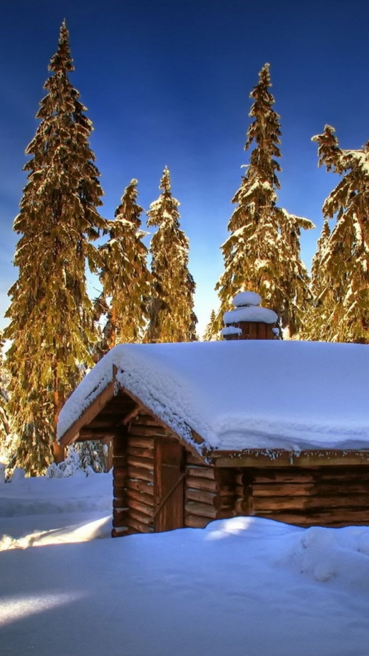 Обои зима, снег, природа, дерево, замораживание в разрешении 750x1334