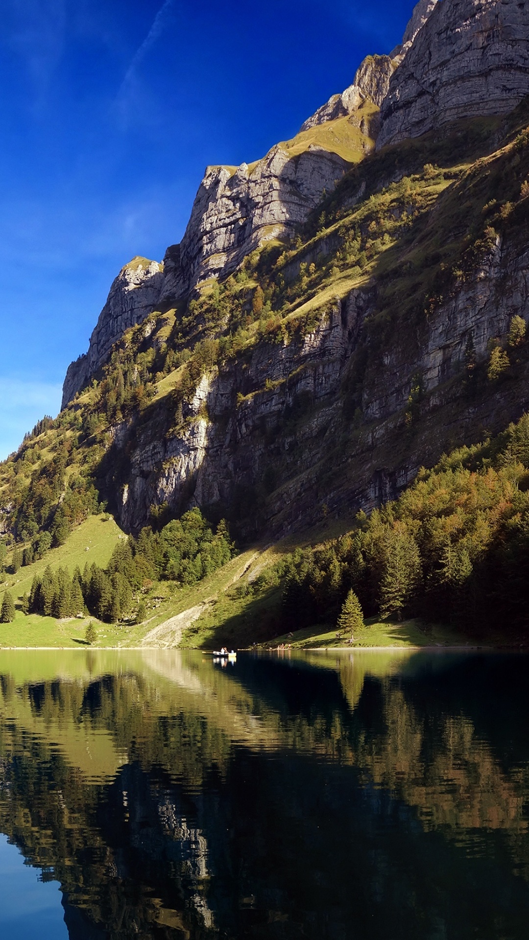 Обои Seealpsee, вода, облако, растение, гора в разрешении 1080x1920