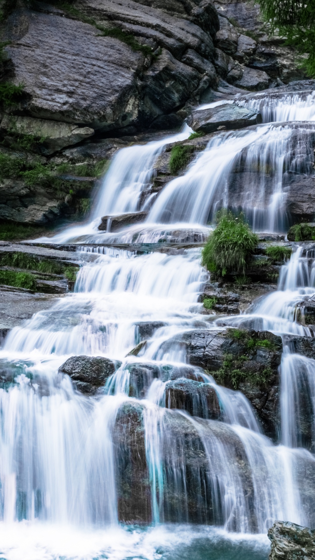 Обои водопад, водоток, вода, растение, природа в разрешении 1080x1920