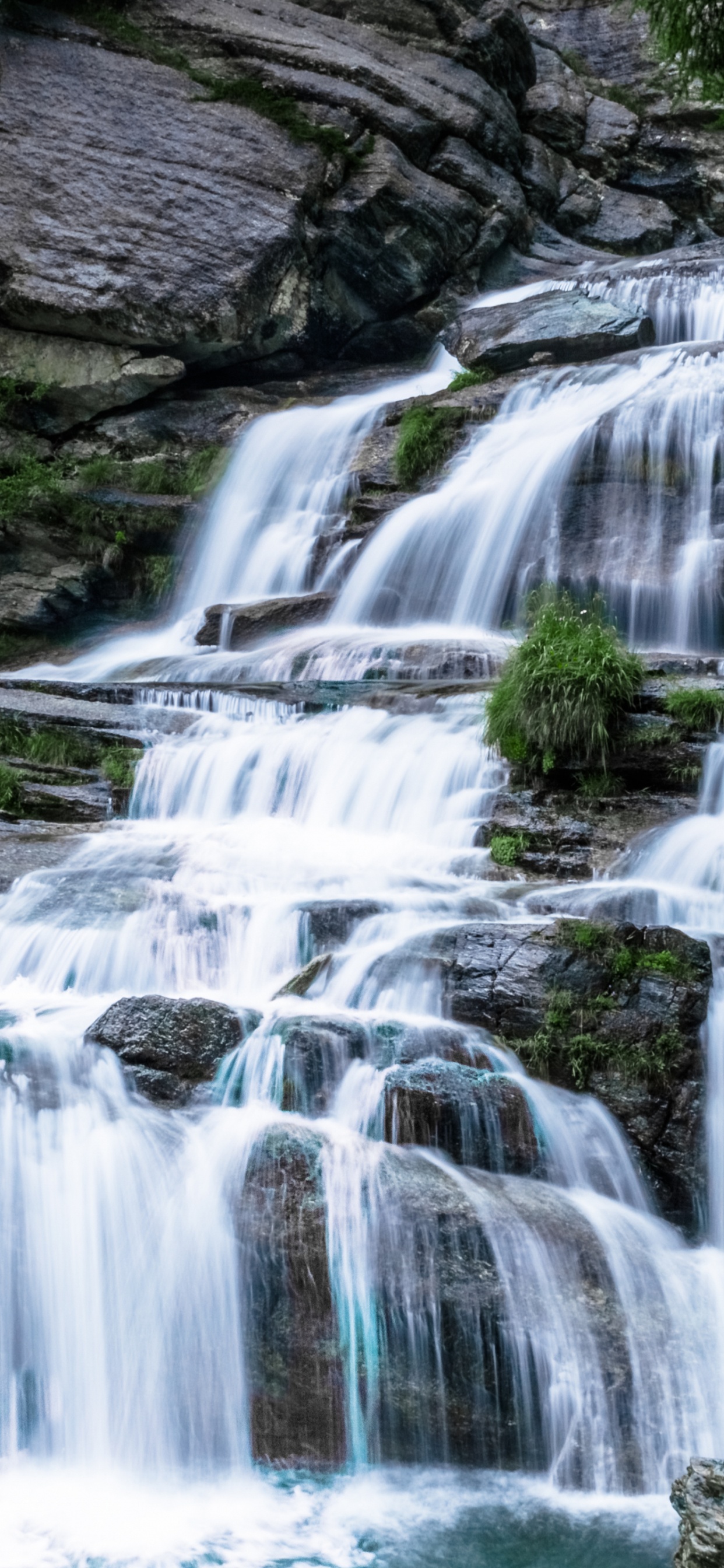 Обои водопад, водоток, вода, растение, природа в разрешении 1242x2688