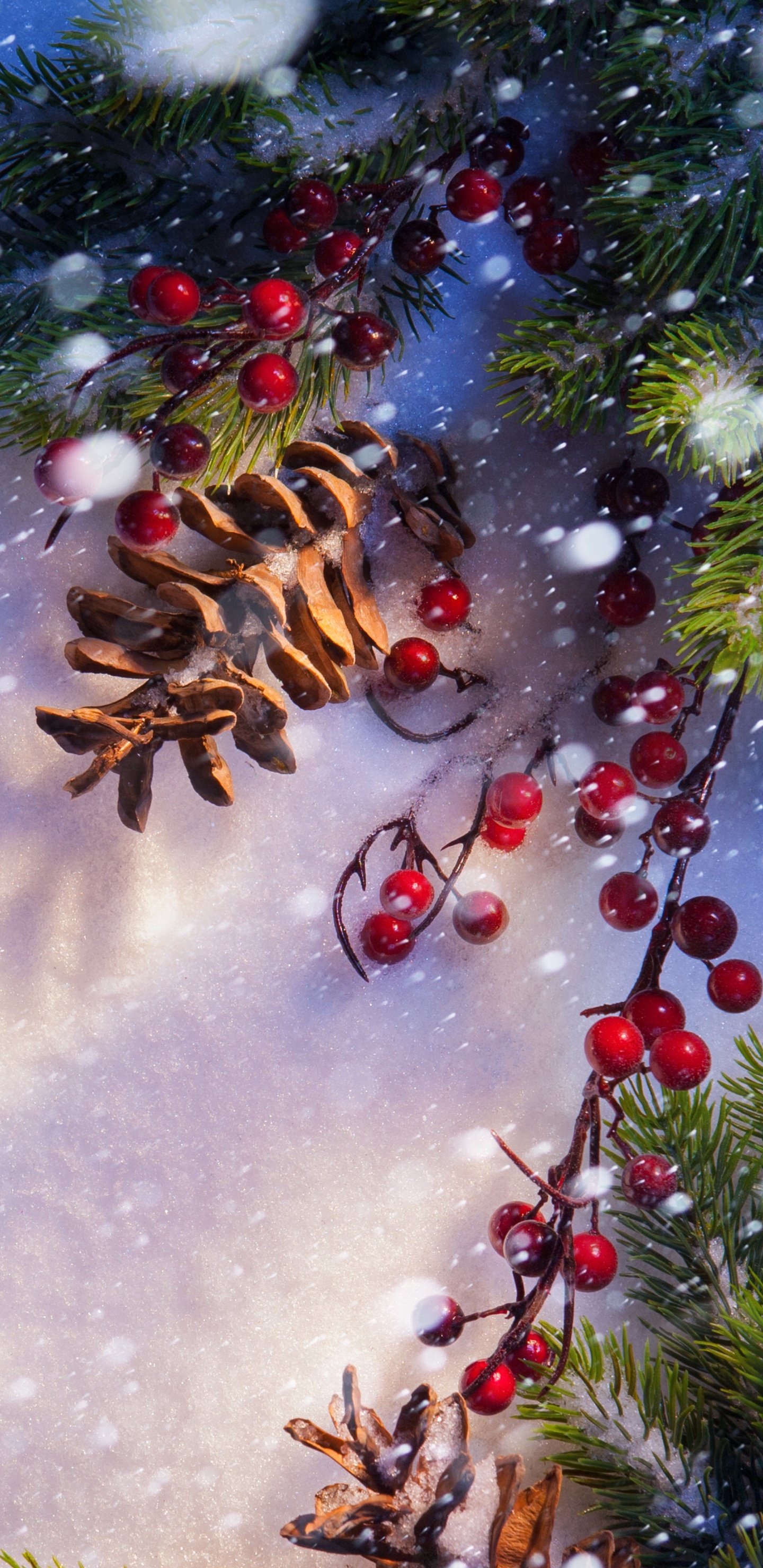 Обои дерево, Рождество, пихта, елка, зима в разрешении 1440x2960