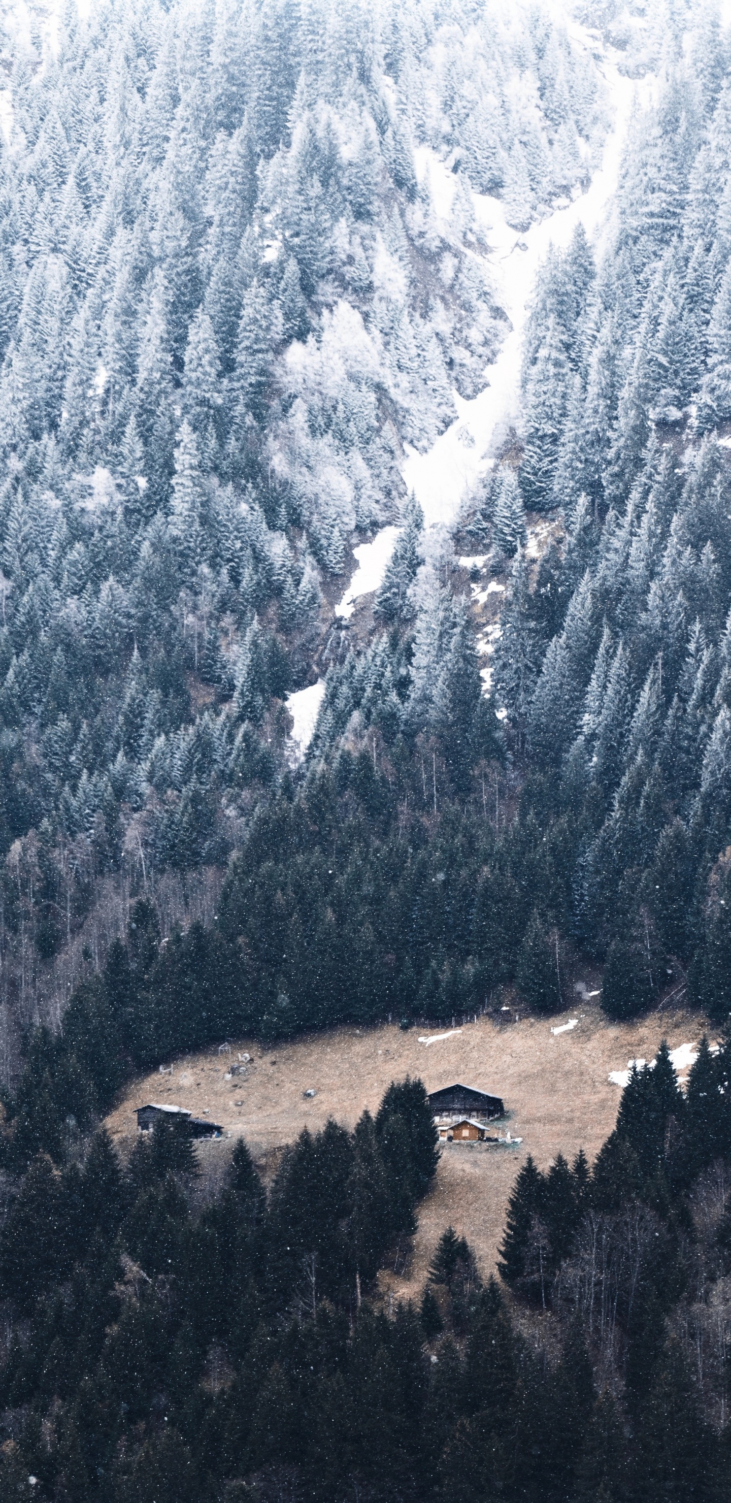 Обои снег, горный рельеф, гора, природный ландшафт, дикая местность в разрешении 1440x2960