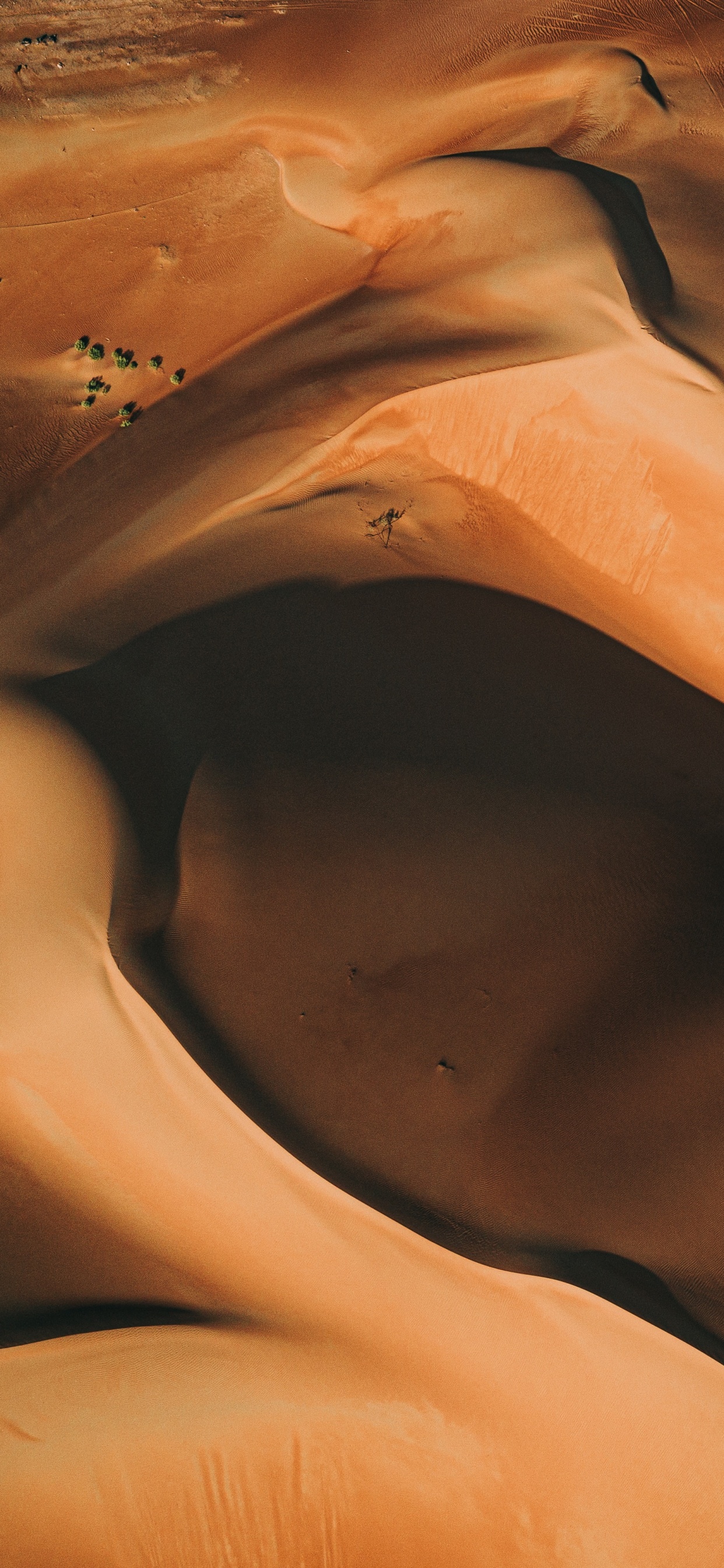 Обои эрг, десерт, Апельсин, эолийские рельефы, песок в разрешении 1242x2688