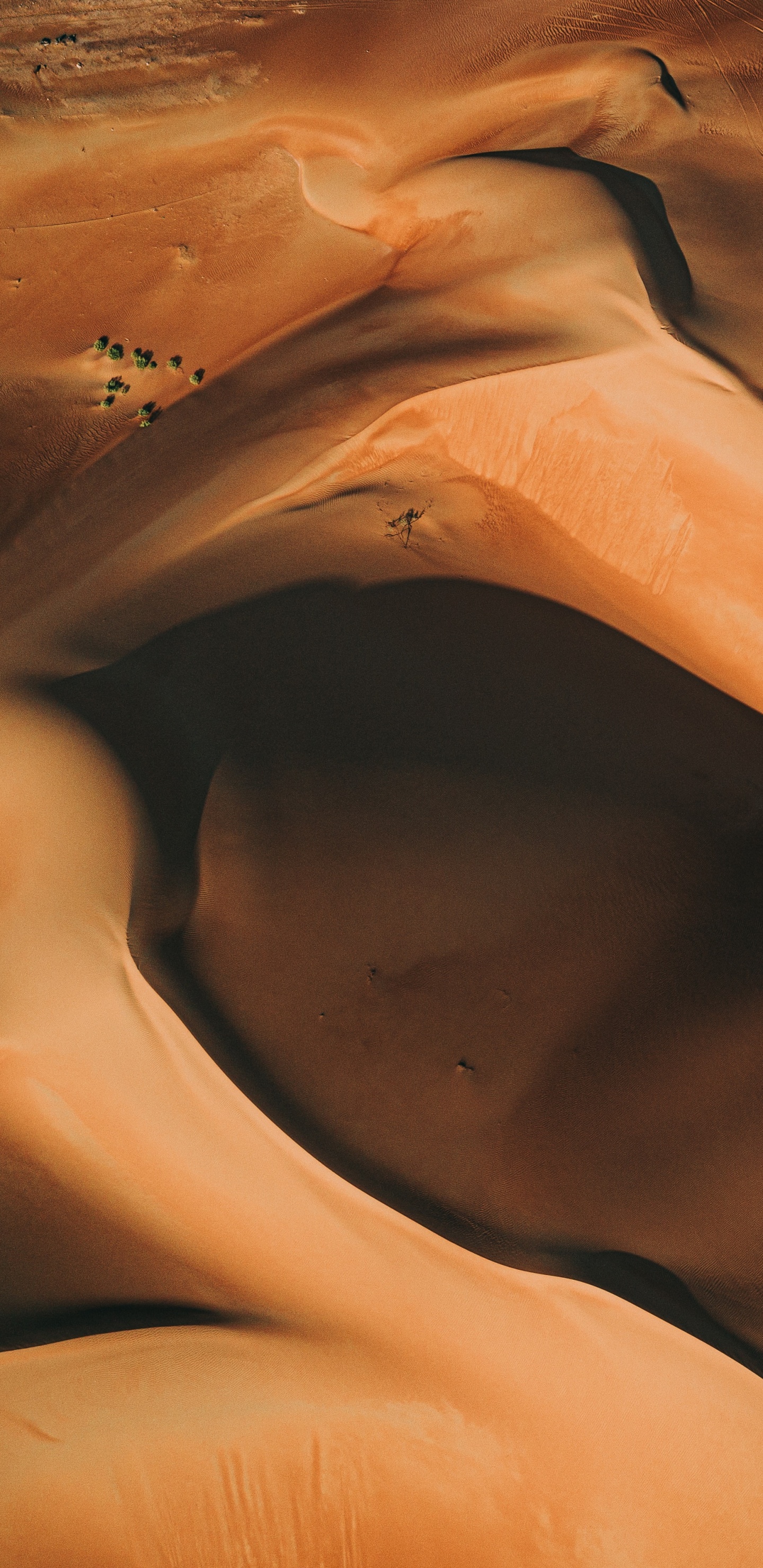 Обои эрг, десерт, Апельсин, эолийские рельефы, песок в разрешении 1440x2960