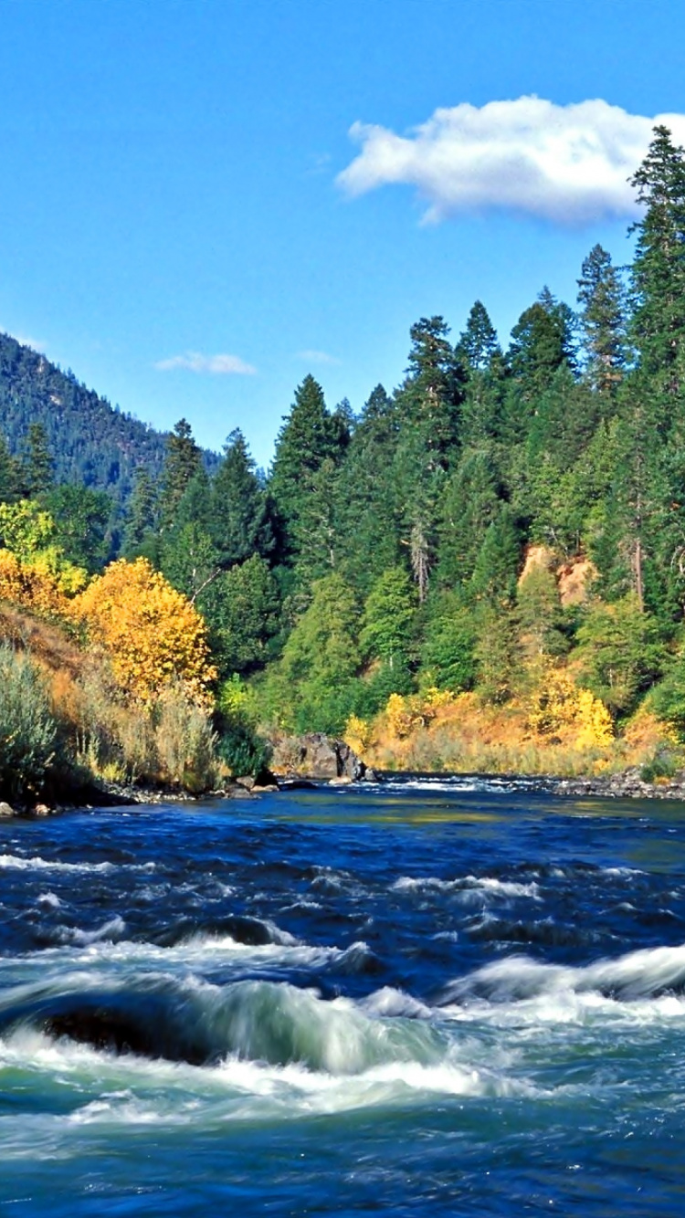 Обои Рогью-Ривер, Грантс-Пасс, реки, природа, гидроресурсы в разрешении 750x1334