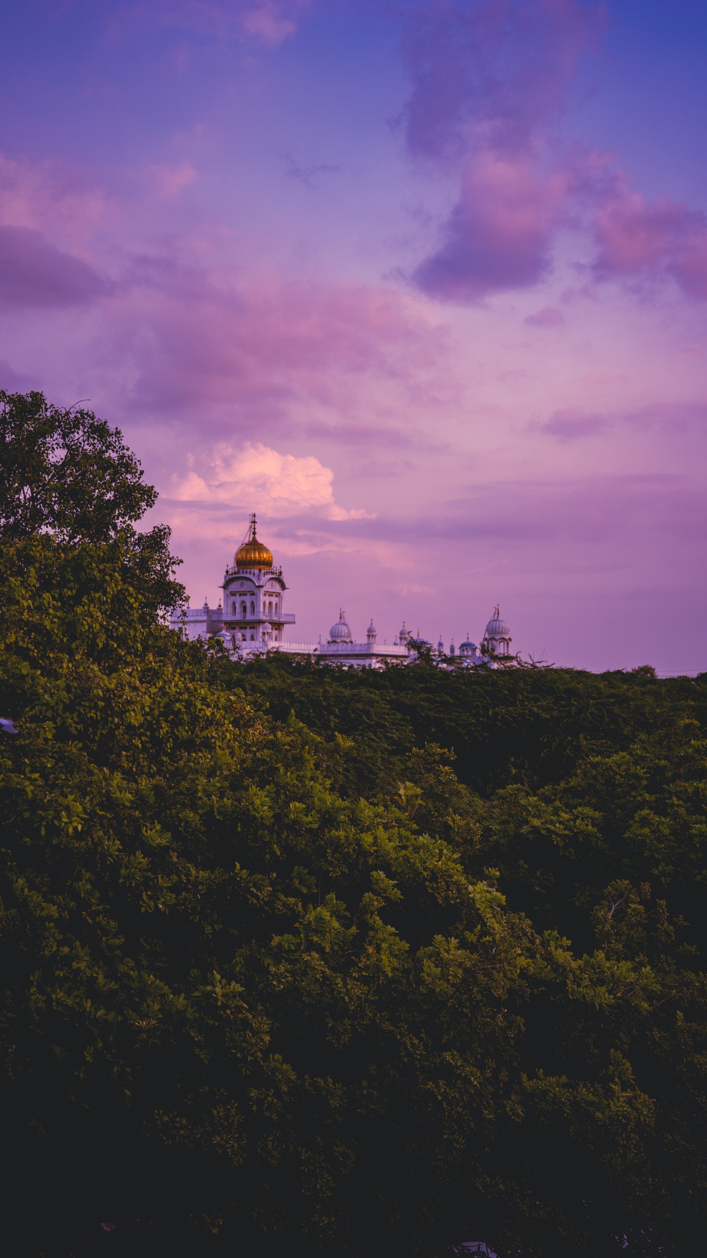 Обои сумерки, купол, утро, здание, архитектура в разрешении 1440x2560