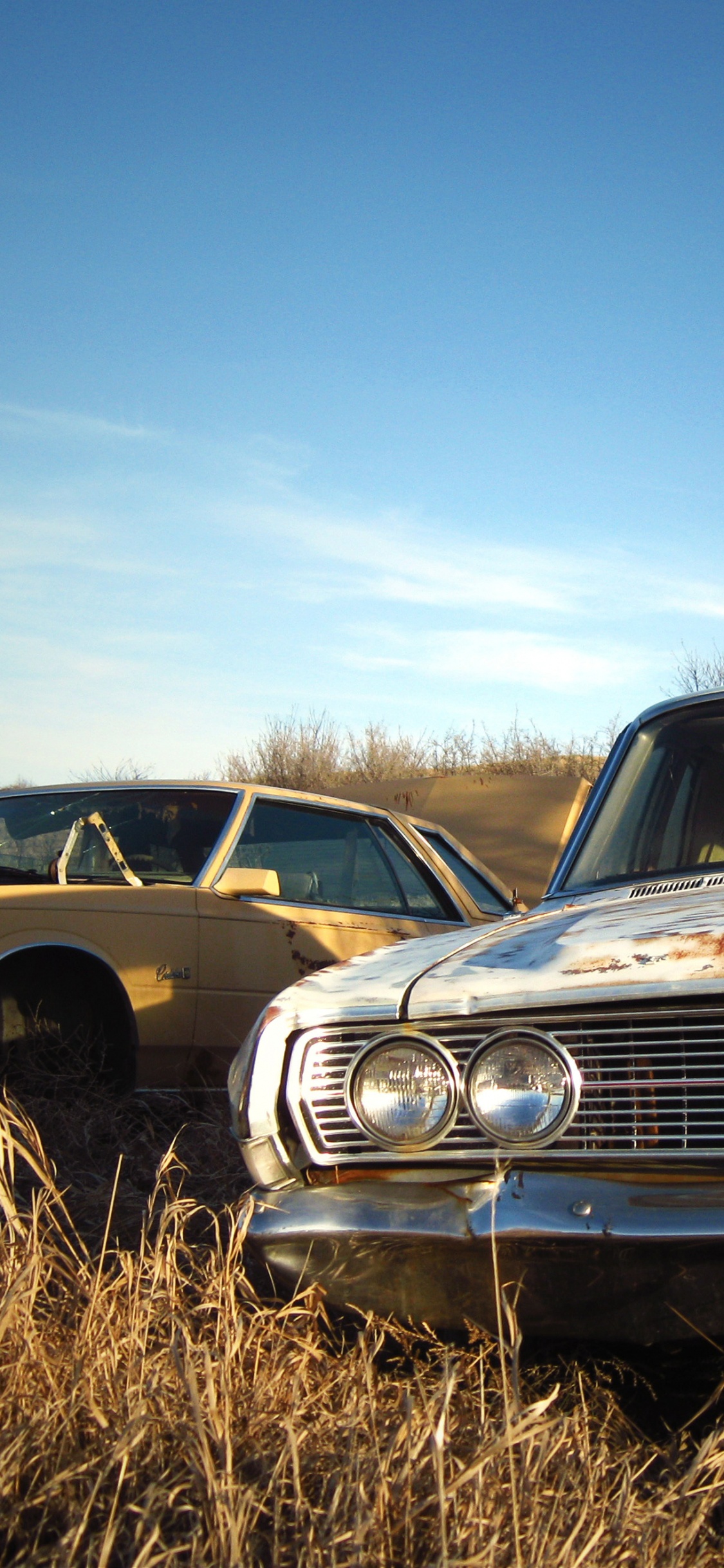 Обои полный размер автомобиля, авто, классический автомобиль, компактный автомобиль, Классика в разрешении 1125x2436