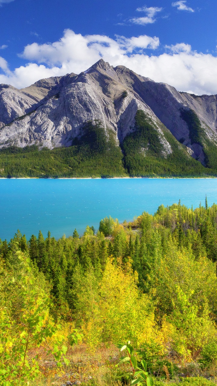 Обои банфф, Озеро Авраам, моренное озеро, озеро Луиза, озеро в разрешении 720x1280