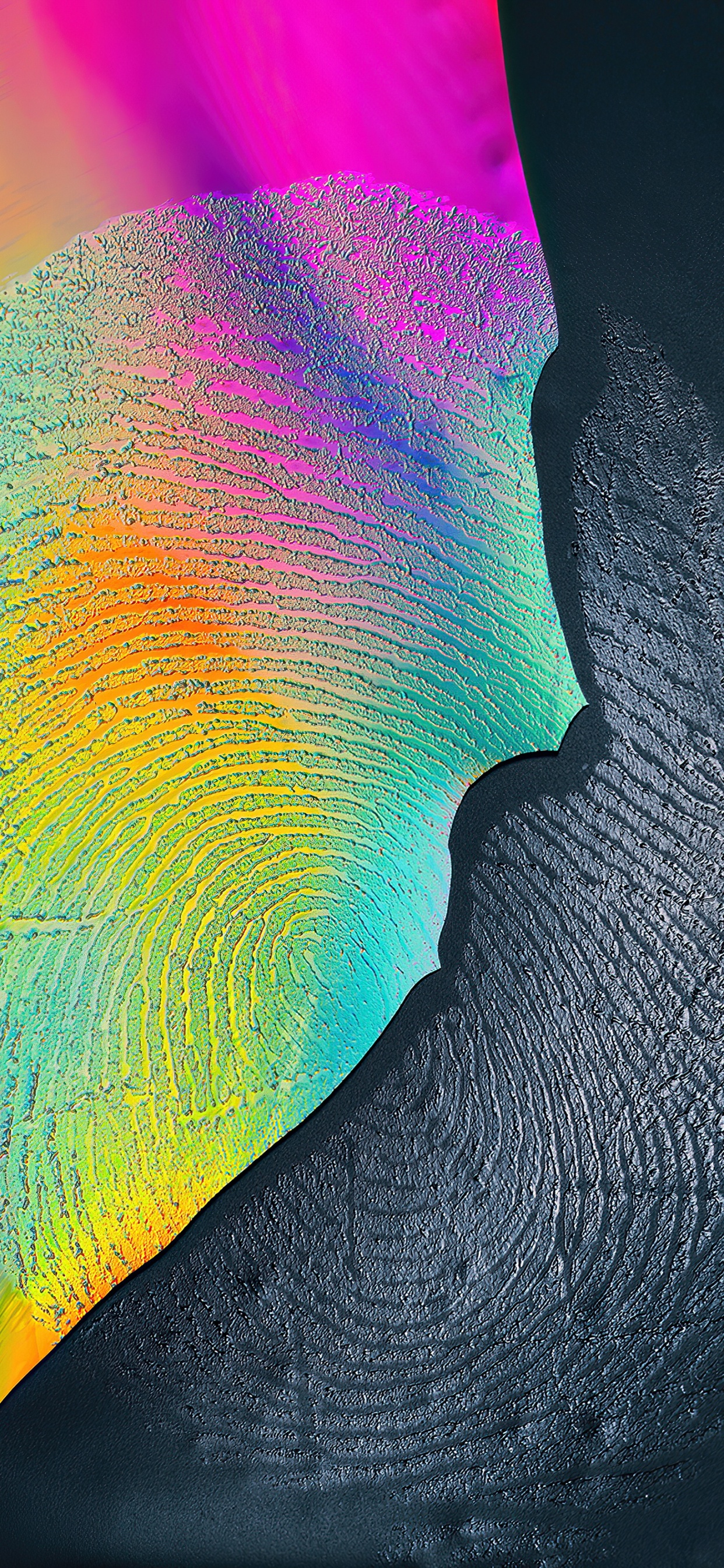 Обои крупный план, лазурный, склон, полутона и оттенки, электрик в разрешении 1242x2688