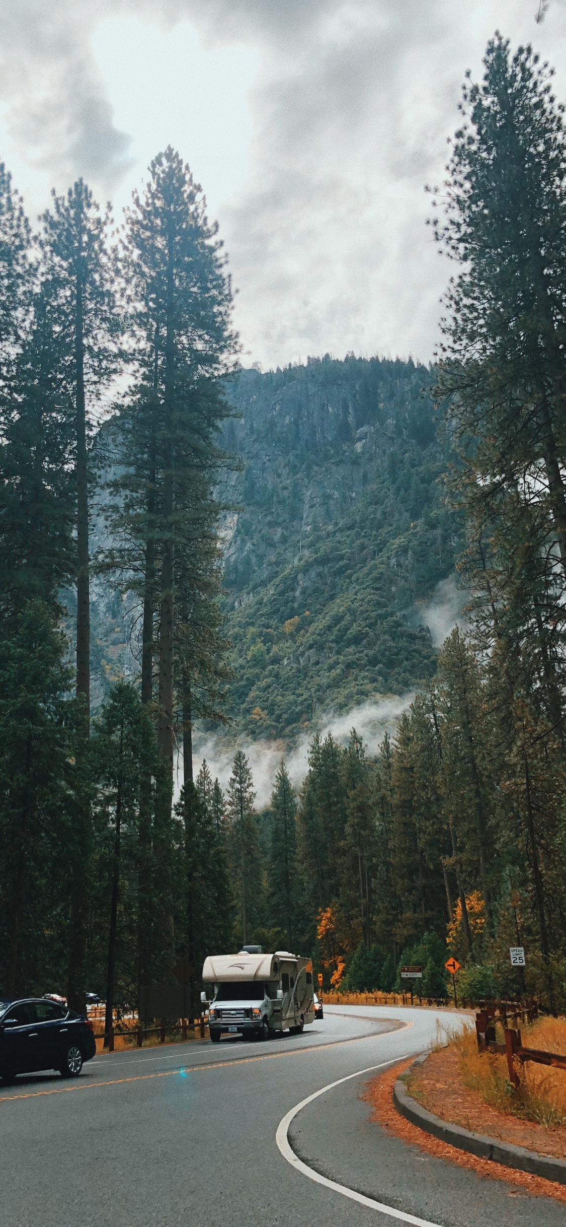 Обои природа, Хвойные, дорога, дерево, автомобильный экстерьер в разрешении 1125x2436